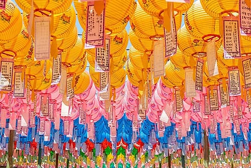 Layered Yellow and Pink Lanterns Art Print