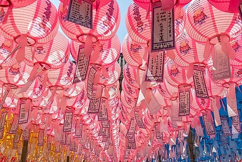 Pink Lanterns Blue Sky Art Print
