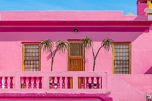 Bo-Kaap Cape Town Pink House with Palms Art Print
