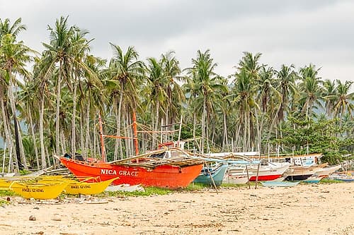 Bangka Boats Beneath Palm Trees, Philippines Art Print