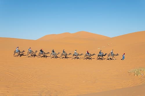 Line of Camels with Riders, Sahara Desert, Morocco Art Print