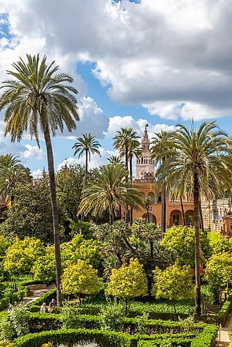Real Alcazar Gardens with Palm Trees, Seville, Spain Art Print