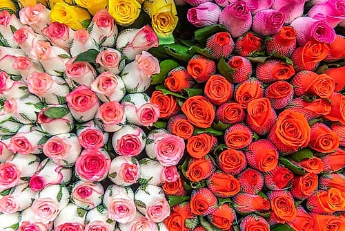 Colorful Rose Bouquets at Flower Market Art Print by Richard Silver