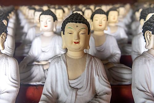 White Buddha Statues in Rows at Temple, Jeju Island, South Korea Art déco reproduction