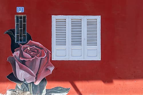 Red Wall with Rose Mural and Shuttered Window Art Print