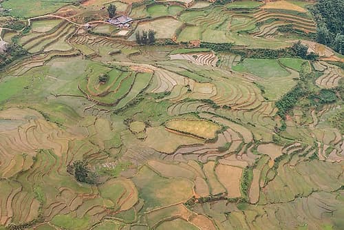 Aerial View of Golden Rice Terraces, Sapa, Vietnam Art Print