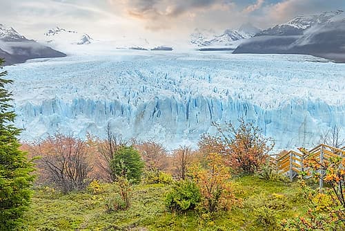 Perito Moreno Glacier with Autumn Foliage, Patagonia, Argentina Art Print