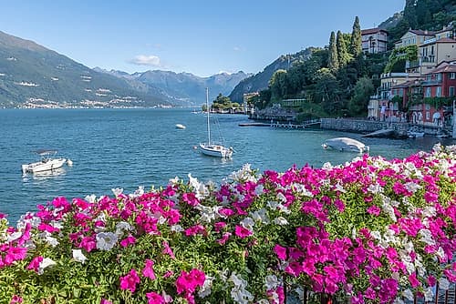 Pink Flowers Framing Lake Como, Italy Art Print
