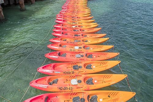 Rows of Orange Kayaks on Turquoise Water Art Print