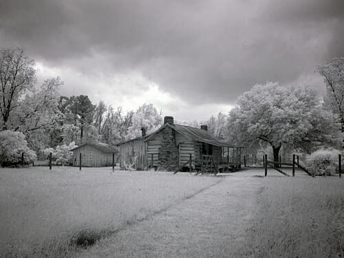 Chasley, Monroe County, Alabama VI Art Print