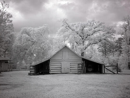 Chasley, Monroe County, Alabama VII Art Print