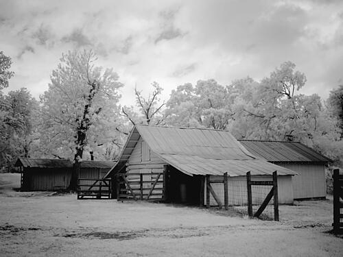 Chasley, Monroe County, Alabama VIII Art Print
