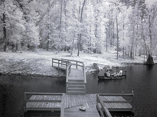 Fishing in Monroe County, Alabama I Art Print