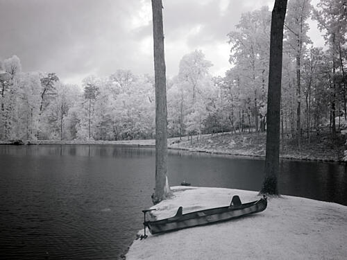 Fishing in Monroe County, Alabama II Art Print