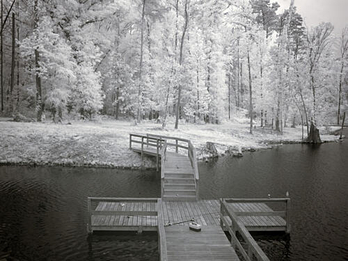 Fishing in Monroe County, Alabama III Art Print