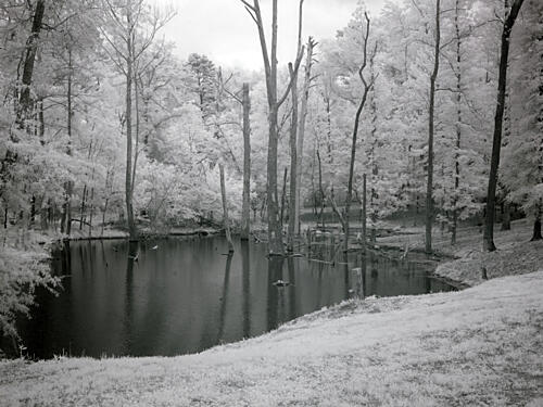Fishing in Monroe County, Alabama IV Art Print