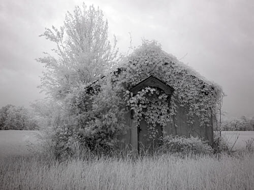 Scenic Images from Rural Monroe County, Alabama II Art Print
