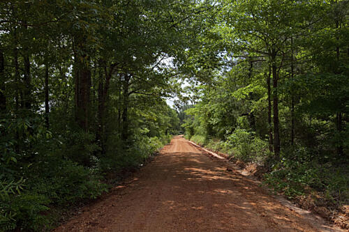Red Clay Road in Rural Monroe County, Alabama Art Print