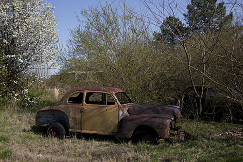 Rural Alabama in the Spring II Art Print