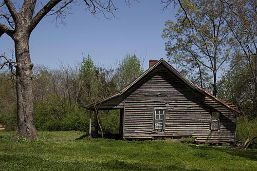 Rural Alabama in the Spring VII Art Print