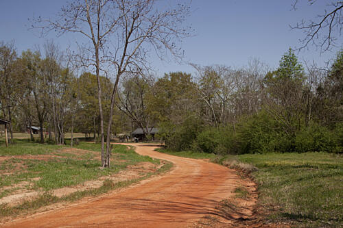Rural Alabama in the Spring VIII Art Print