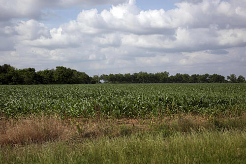 Beautiful Communities and Rural Scenes in Baldwin County, Alabama IV Art Print