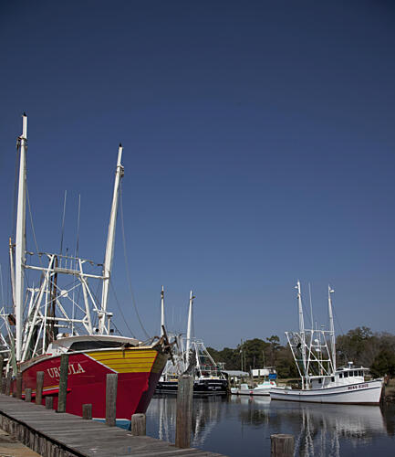 Bayou la Batre, Alabama IV Art Print