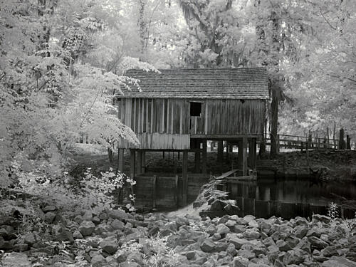 Rikards Mill, Near Beatrice, Alabama II Art Print