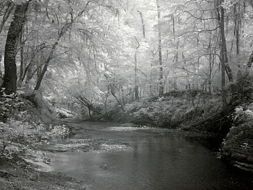 Scene Near Rikards Mill, Near Beatrice, Alabama Art Print
