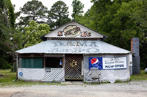 Historic Buildings in Camden, Alabama IV Art Print