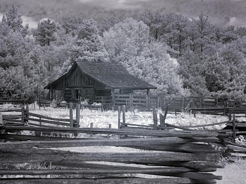 Landmark Park, Near Dothan, Alabama I Art Print