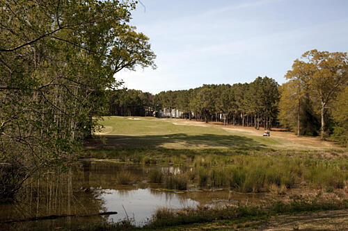 Highland Oaks Golf Course, Dothan, Alabama Art Print