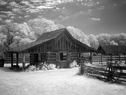 Landmark Park, Near Dothan, Alabama II Art Print