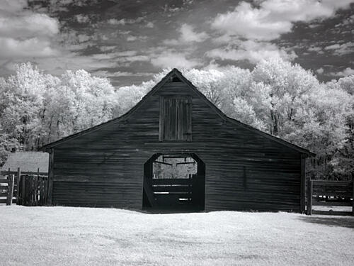 Landmark Park, Near Dothan, Alabama III Art Print