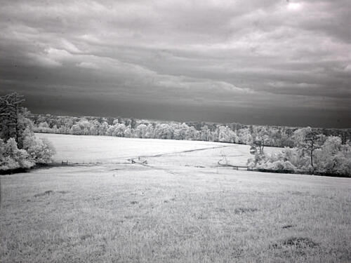 Meadowbank Farm, Mobile, Alabama II Art Print