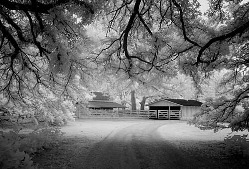 Meadowbank Farm, Mobile, Alabama IV Art Print