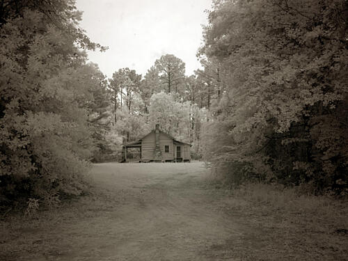 Meadowbank Farm, Mobile, Alabama V Art Print
