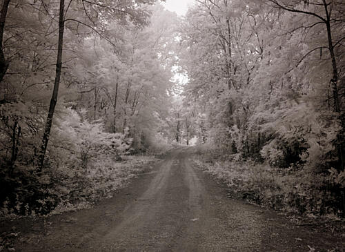 Meadowbank Farm, Mobile, Alabama VIII Art Print