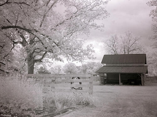Meadowbank Farm, Mobile, Alabama IX Art Print