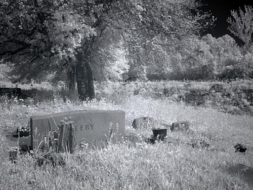 Cemetery, Alabama Art Print