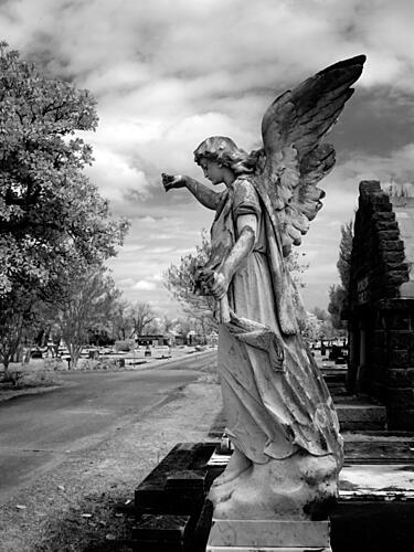 Magnolia Cemetery, Mobile, Alabama III Art Print