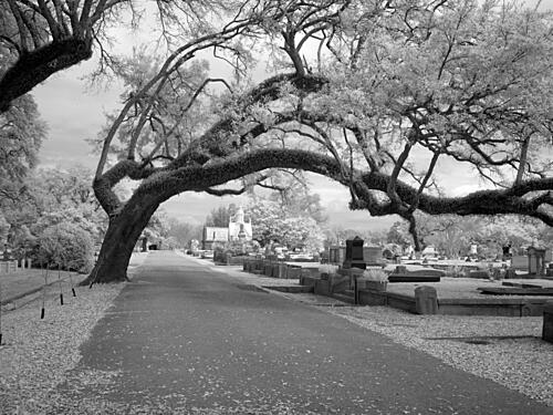 Magnolia Cemetery, Mobile, Alabama V Art Print
