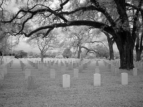 Magnolia Cemetery, Mobile, Alabama VI Art Print