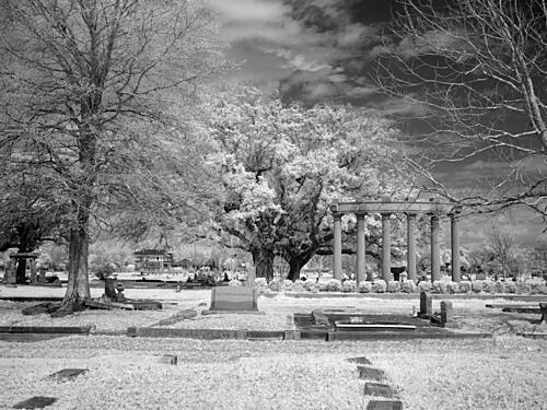 Magnolia Cemetery, Mobile, Alabama VII Art Print