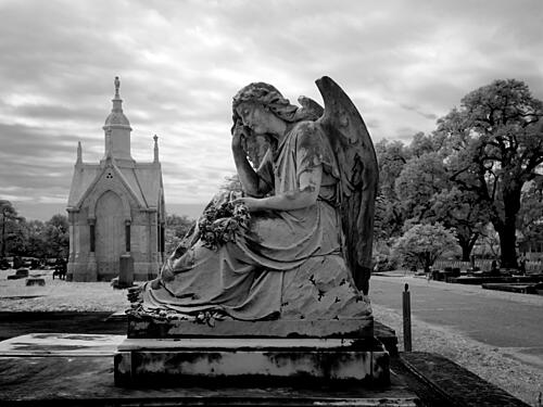 Magnolia Cemetery, Mobile, Alabama VIII Art Print