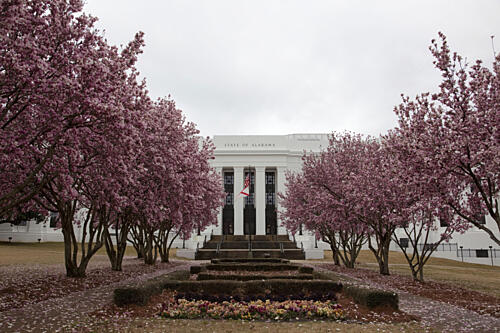 Trees Bloom in the Spring Near Government Buildings in Montgomery, Alabama Art Print