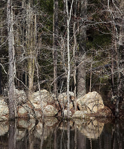 Scenic Lake, Scottsboro, Alabama Art Print