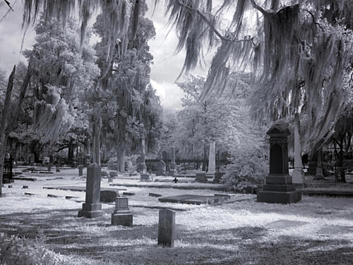 Old Live Oak Cemetery, Selma, Alabama II Art Print