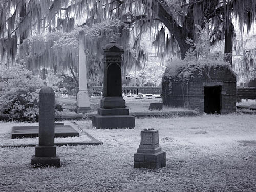 Old Live Oak Cemetery, Selma, Alabama III Art Print