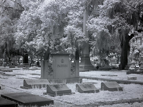 Old Live Oak Cemetery, Selma, Alabama V Art Print